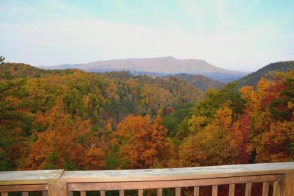 Honeymoon View #1 - image 3