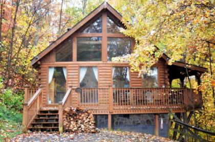 Wild turkey the Perfect Getaway Sevierville Tennessee