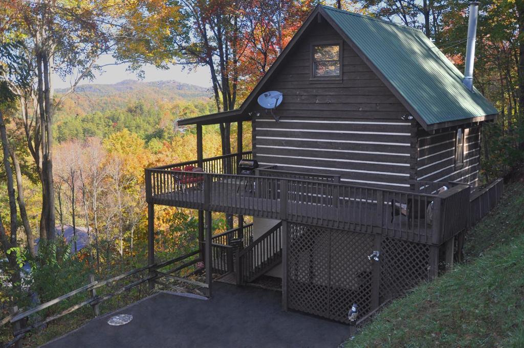 Mountain Bearadise Cabin - main image