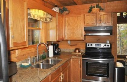 Mountain Bearadise Cabin - image 2