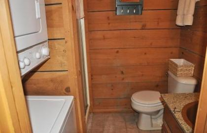 Mountain Bearadise Cabin - image 5