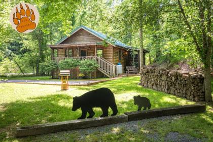 Cozy Bear Tennessee