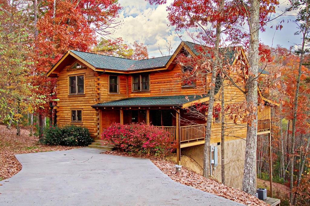 Southern Splendor - main image