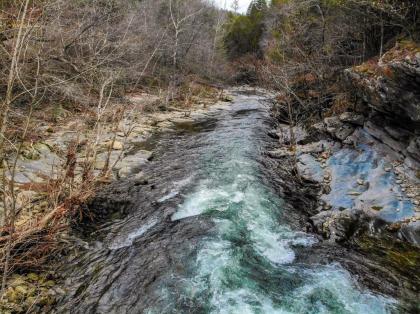 River Song Tennessee