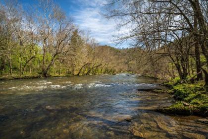 River Song - image 13