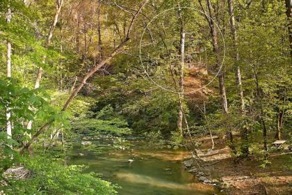 Whispering Waters #208 by Aunt Bug's Cabin Rentals - image 17