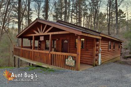 Secret Hideaway #195 by Aunt Bug's Cabin Rentals