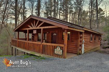 Holiday homes in Sevierville Tennessee