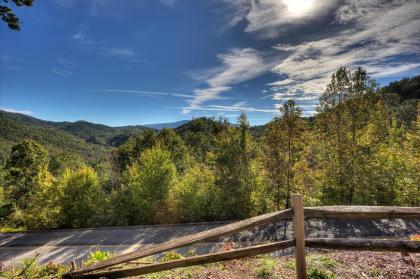 Eagle'S View #356 by Aunt Bug's Cabin Rentals - image 10