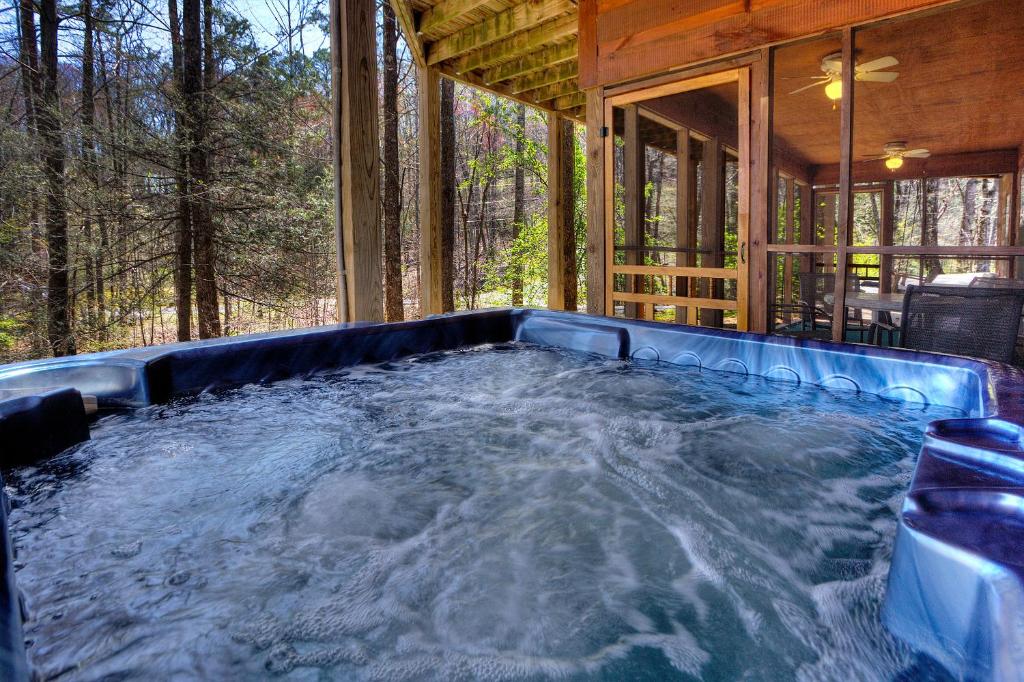 Always Delightful #411 by Aunt Bug's Cabin Rentals - image 3