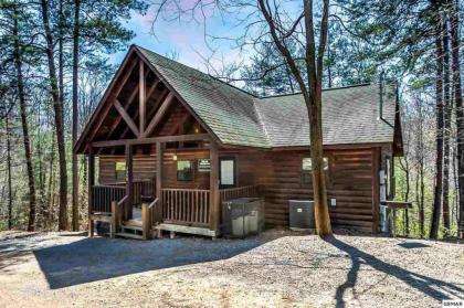 Bear Haven #297 by Aunt Bugs Cabin Rentals Tennessee