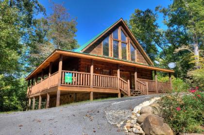 A Beary tale #258 by Aunt Bugs Cabin Rentals Tennessee