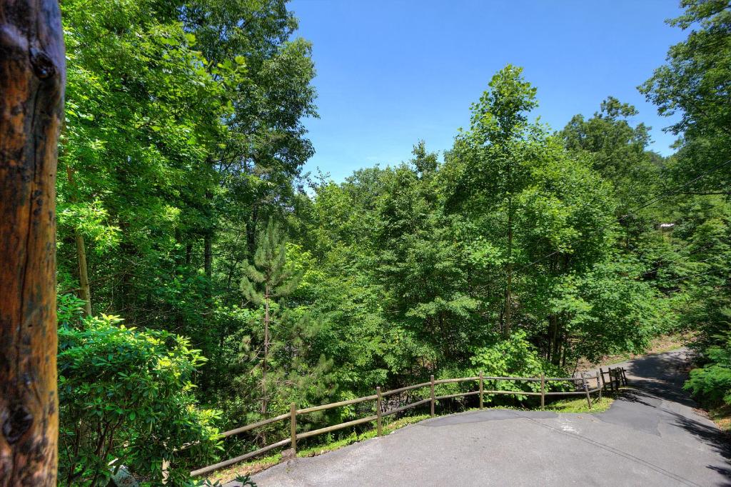 A Secluded Bearadise #247 by Aunt Bug's Cabin Rentals - image 3
