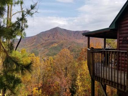 Majestic Views 4 Bedrooms Pool Access Hot Tub Sleeps 12 Tennessee