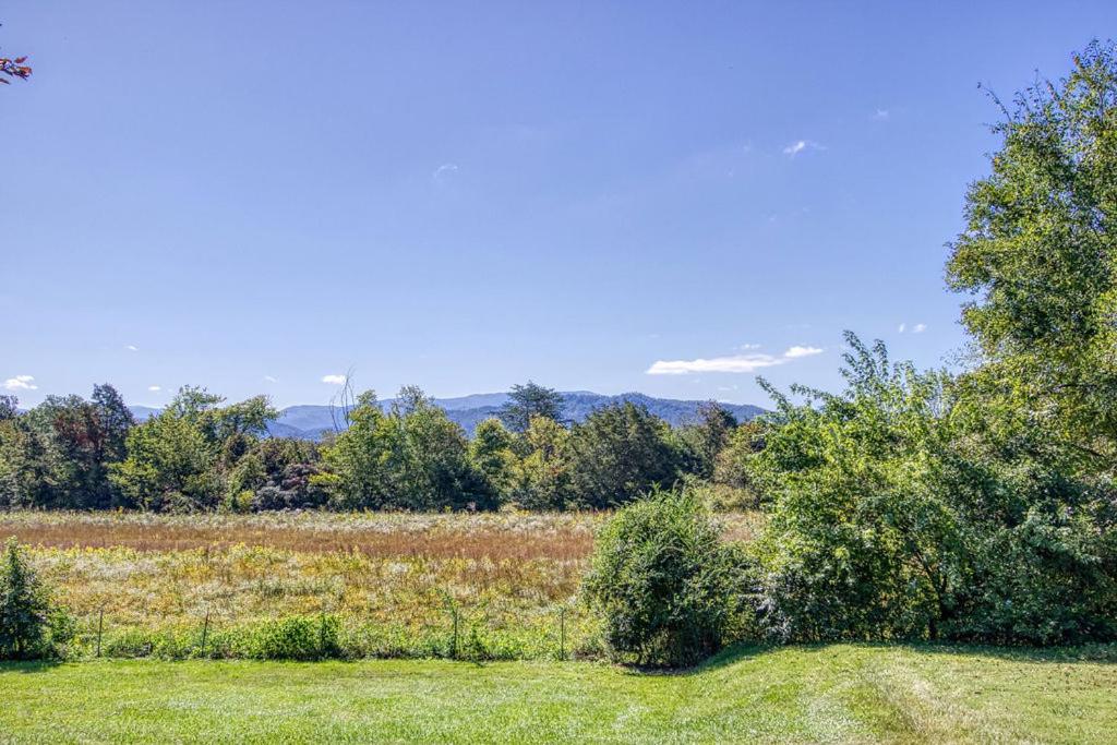 Apple Valley Hideaway - image 3