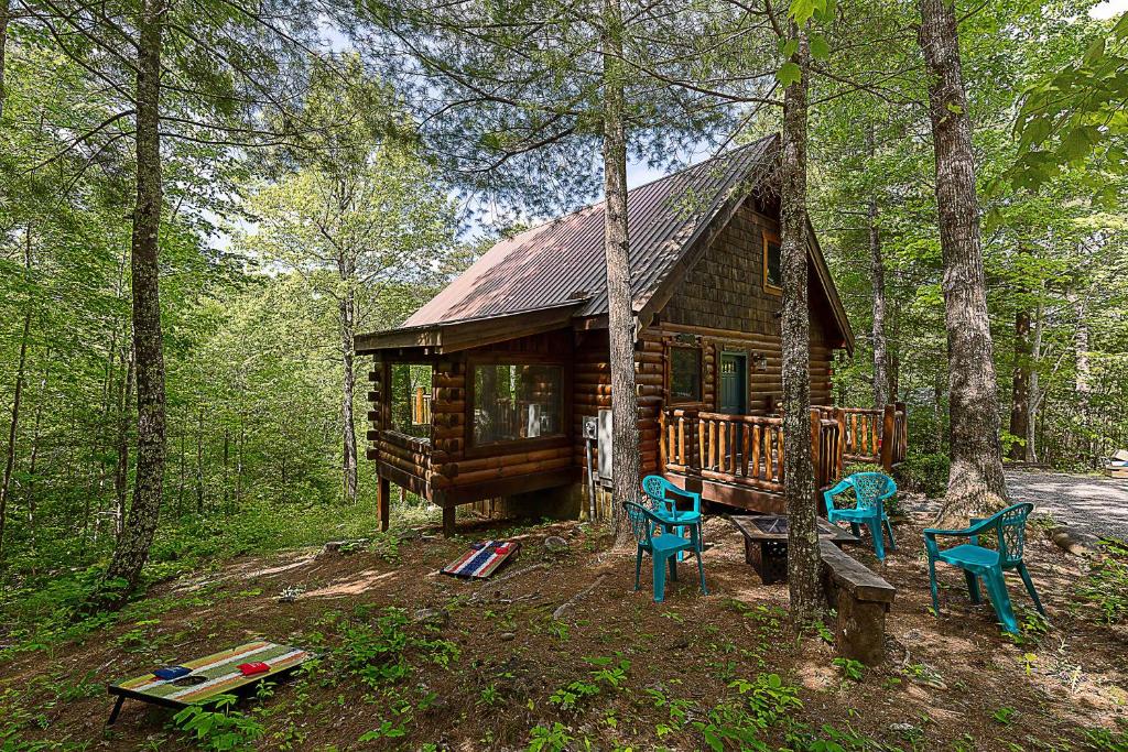 Nestled Inn - Secluded Cabin in the Mountains with Hot Tub Fire Pit and SEGA Gaming System - image 4