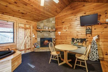 Country Getaway Hot tub Heart Shaped Jetted Jacuzzi Stone Gas Log Fireplace Rocking Chairs Sevierville