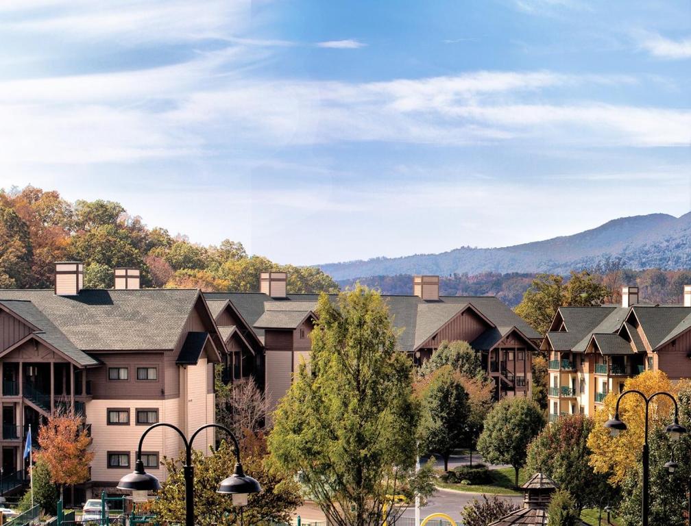 Warm and Beautifully Furnished One Bedroom Condo in Sevierville - image 3