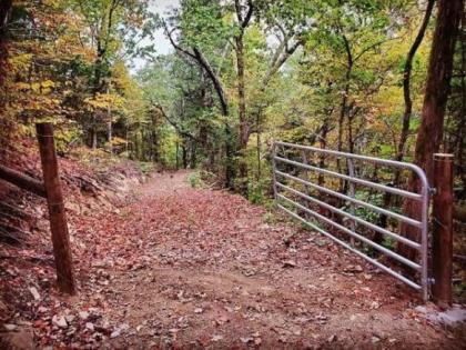 Tentrr Signature Site - Hunkerdown Hollow - image 6
