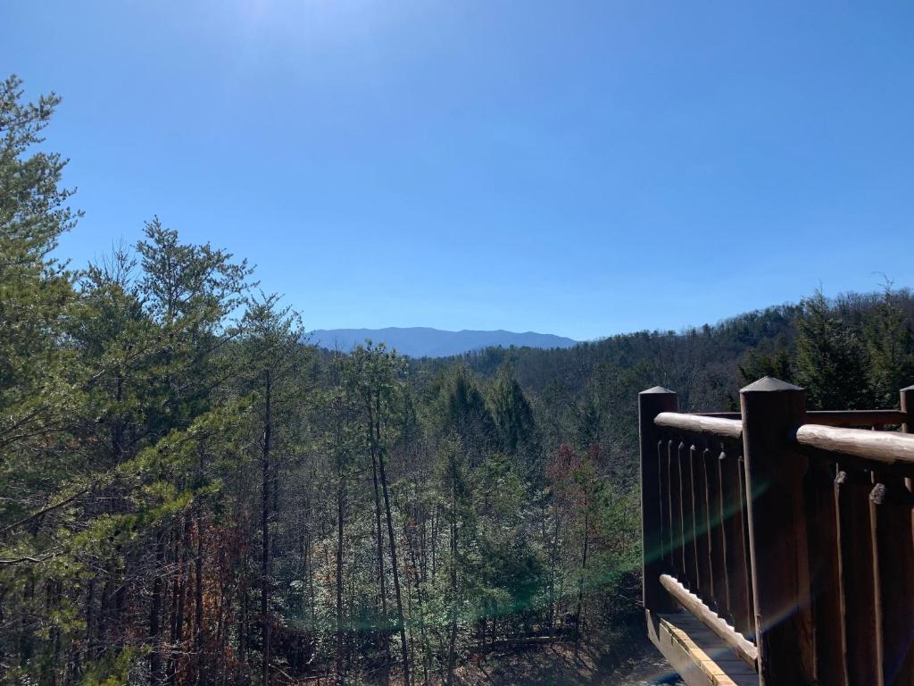 Bear Creek Lodge with Hot Tub Game Room and View - main image