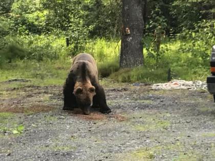 Resurrection River Rentals Seward