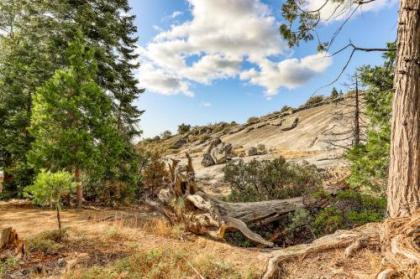 Granite View Lodge Shaver Lake California