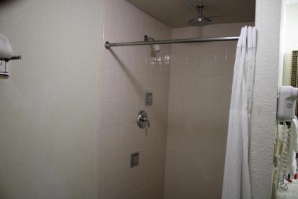 AmeriVu Inn & Suites - image 10