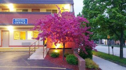 Fountain Park Motel - image 2