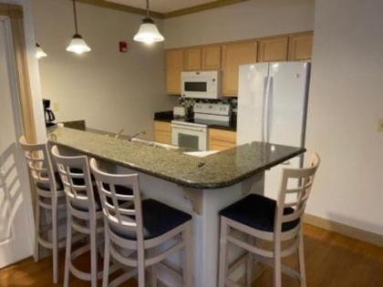 4 Bedroom Lakefront Condo - image 4