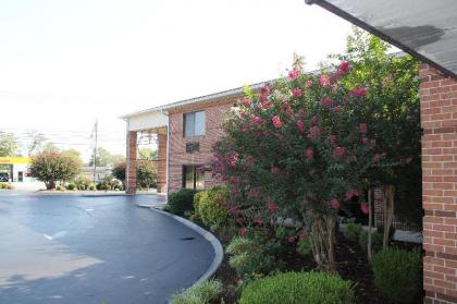 Best Western Celebration Inn & Suites - image 12