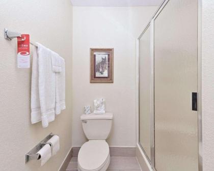 Econo Lodge Inn & Suites Shelbyville - image 9