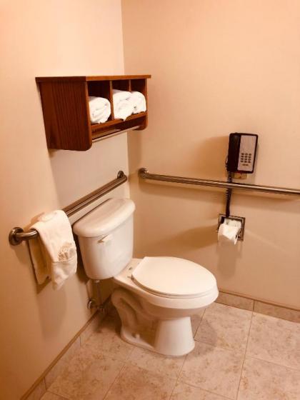 Shenandoah Inn & Suites - image 10