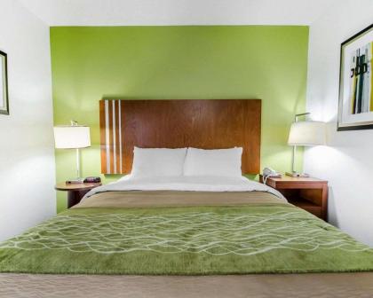 Comfort Inn Shepherdsville - Louisville South - image 8