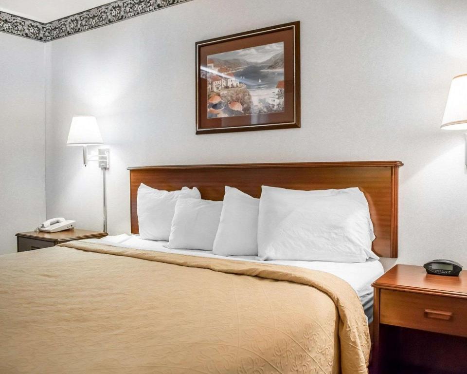 Quality Inn & Suites Brooks - image 2