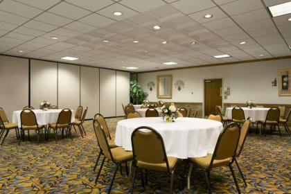 Days Inn by Wyndham Sidney - image 4