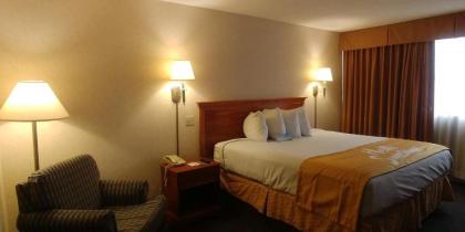 Days Inn by Wyndham Sidney - image 8