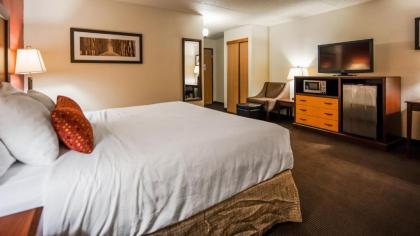 Best Western Plus Sidney Lodge - image 9