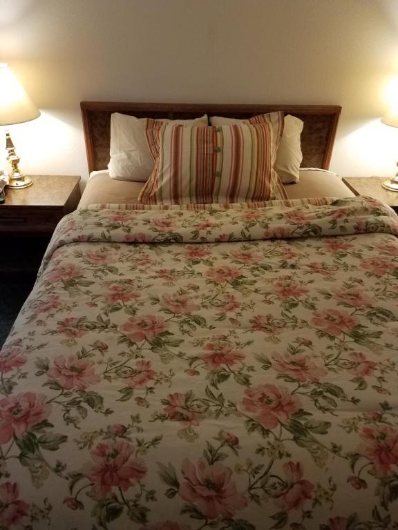 Sleep For Less Motel - main image