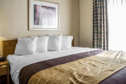 Comfort Inn Sioux City South - image 13