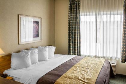 Comfort Inn Sioux City South - image 3