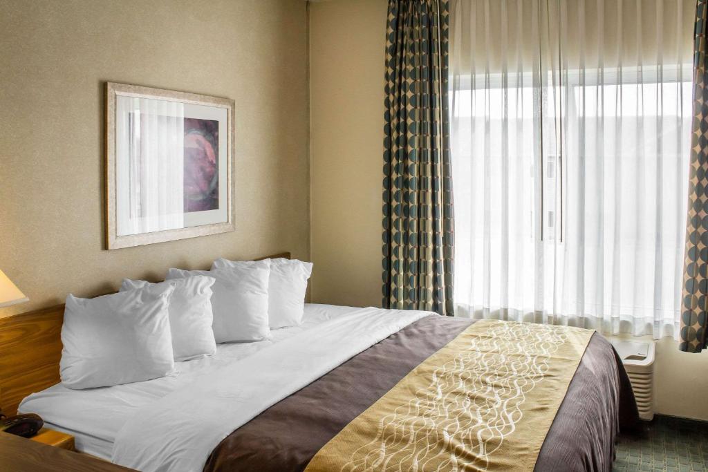 Comfort Inn Sioux City South - image 3