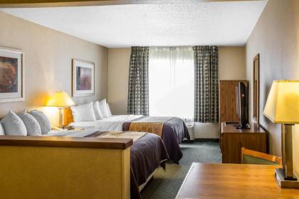 Comfort Inn Sioux City South - image 5
