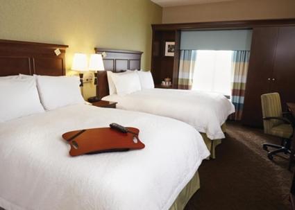 Hampton Inn & Suites Sioux City South IA - image 2