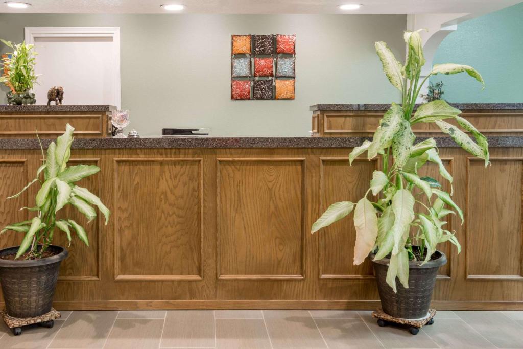 Knights Inn - Slaton - image 6