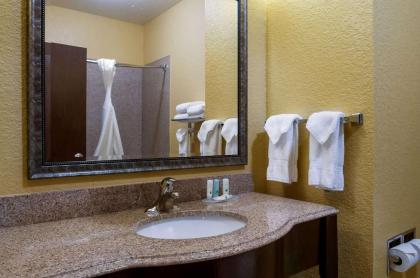 Quality Inn & Suites - image 12