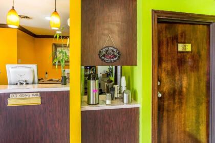 Rodeway Inn & Suites Smyrna - image 12