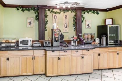 Rodeway Inn & Suites Smyrna - image 3