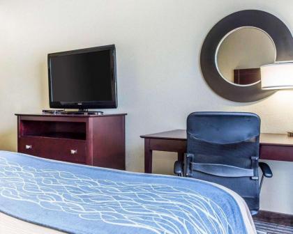 Comfort Inn & Suites Ballpark Area - image 11