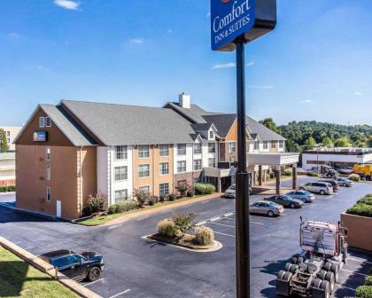 Comfort Inn & Suites Ballpark Area - image 12