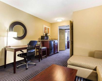 Comfort Inn & Suites Ballpark Area - image 2